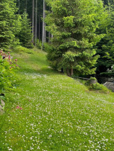 Fotogalerie Expedice DofE I – bronzová, foto č. 8